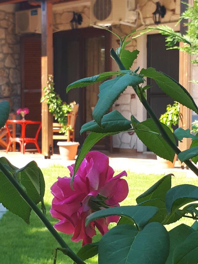 Villa George أفيتوس المظهر الخارجي الصورة