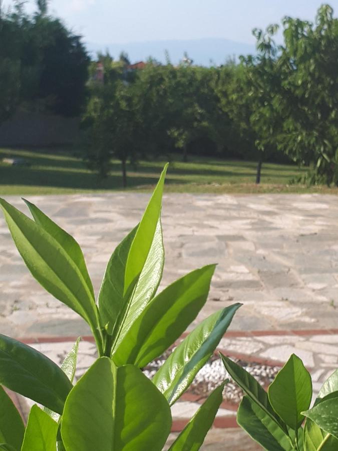 Villa George أفيتوس المظهر الخارجي الصورة