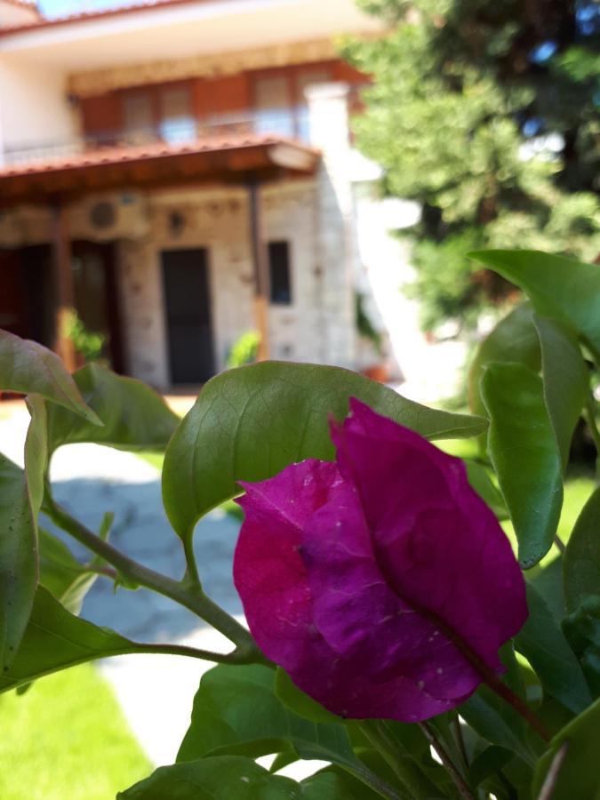 Villa George أفيتوس المظهر الخارجي الصورة