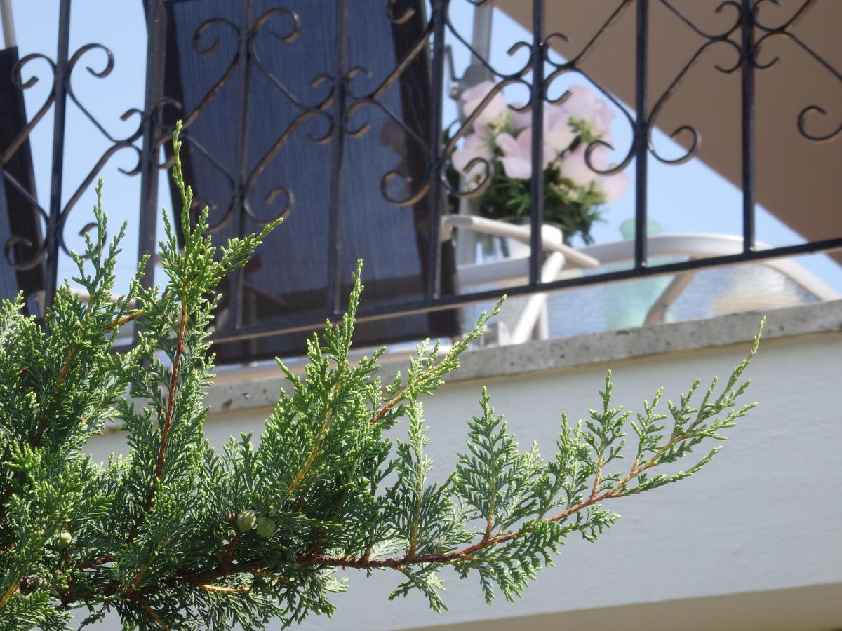 Villa George أفيتوس المظهر الخارجي الصورة